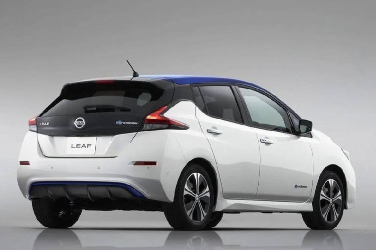 Nissan Leaf 2024 Back View