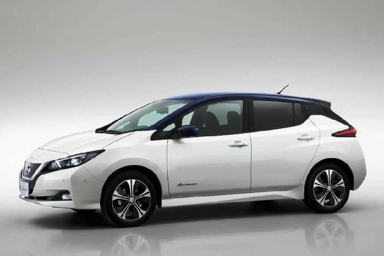 Nissan Leaf 2024 Left Side View