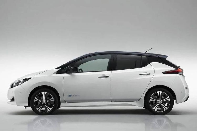 Nissan Leaf 2024 Left Side View