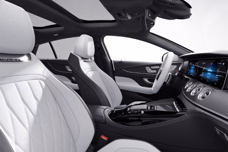 Mercedes-Benz AMG GT 4 DOOR 2026 Interior Driver Side Front Door Panel